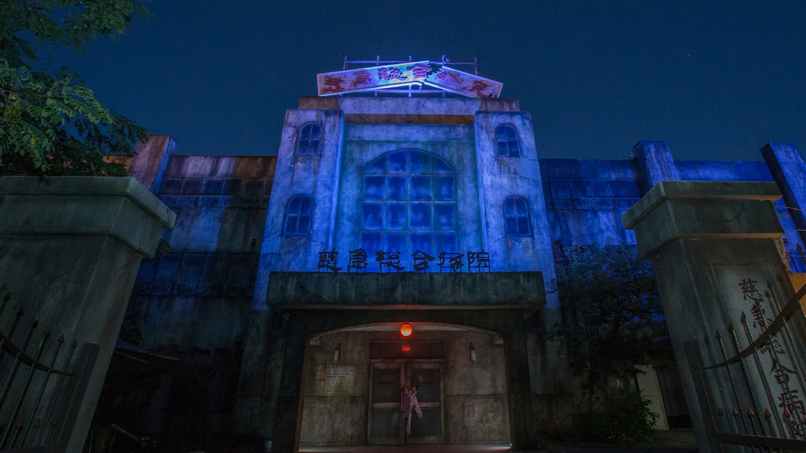 画像を拡大する